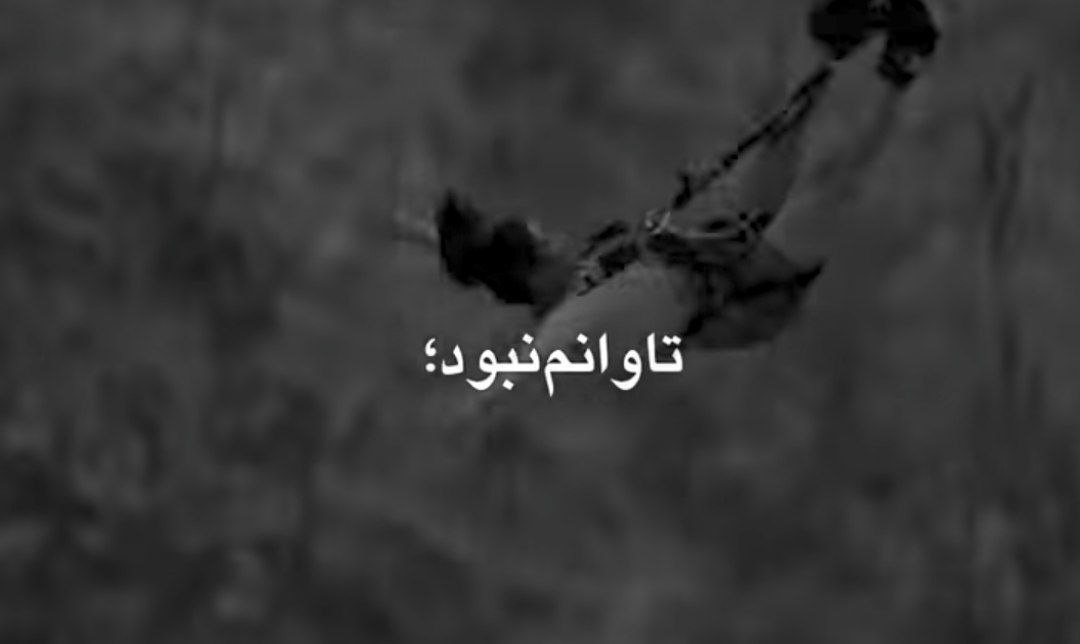 تاوانم نبود تاوانشو دادم